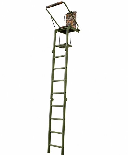 ambona_1gg.png